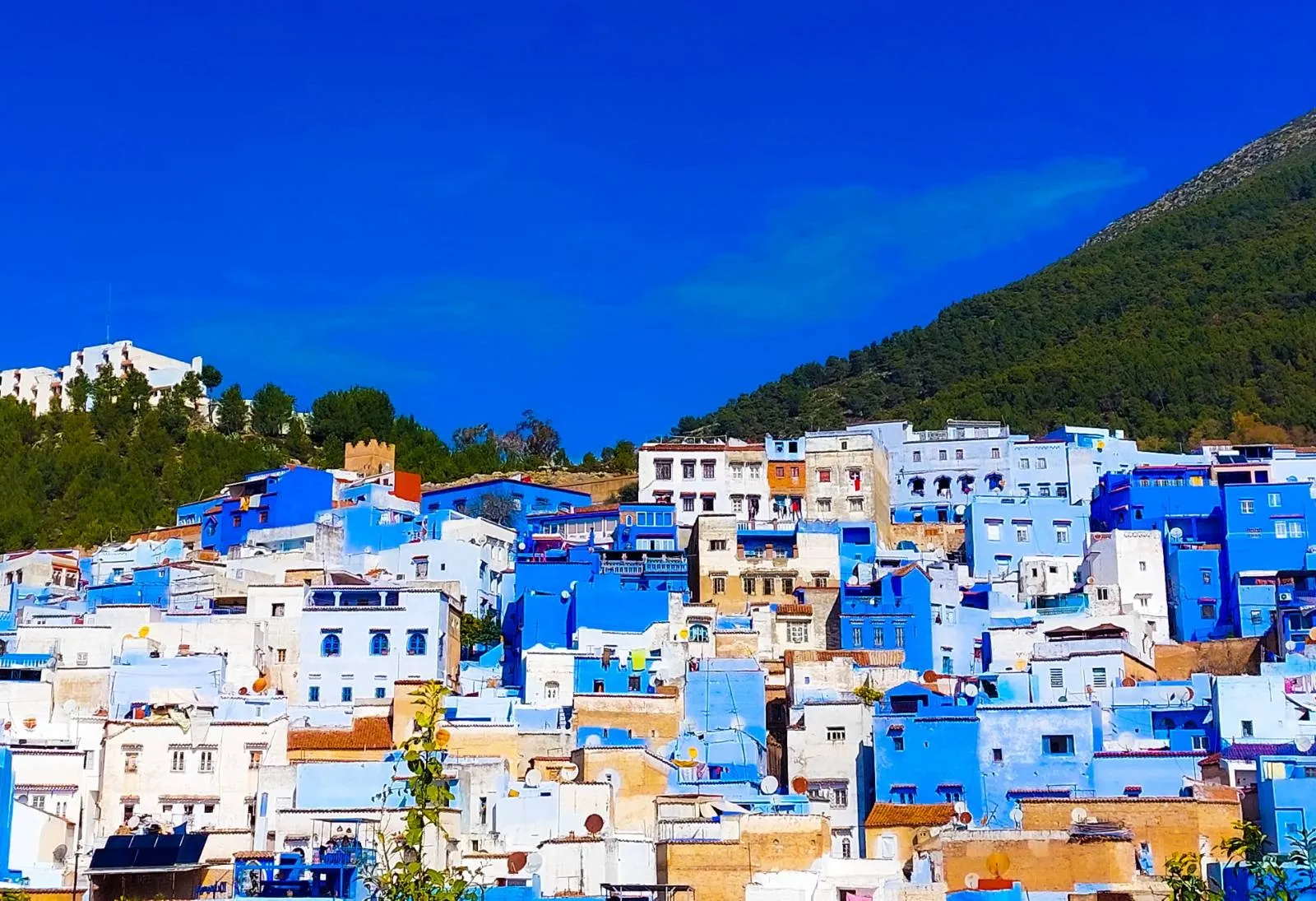 Top 7 Websites about Tourism in Morocco